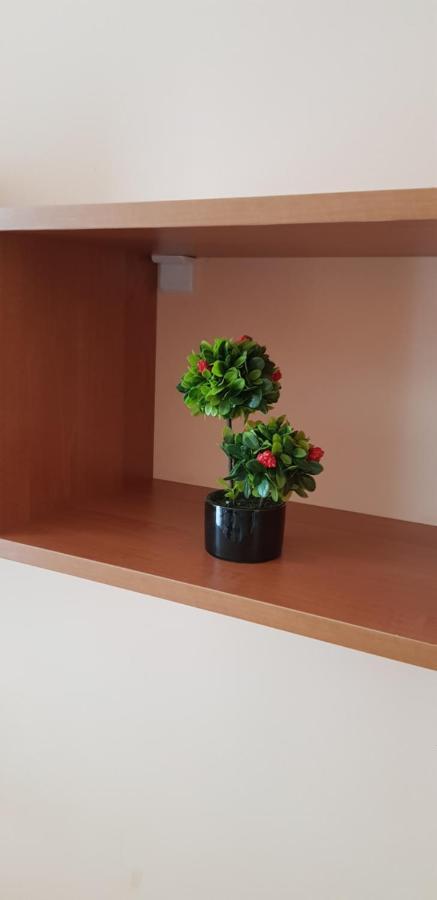 Elit 4 Apartments ساني بيتش المظهر الخارجي الصورة